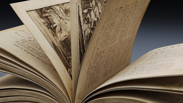 The Joy of Discovering Rare and Used Books at Local Bookstores