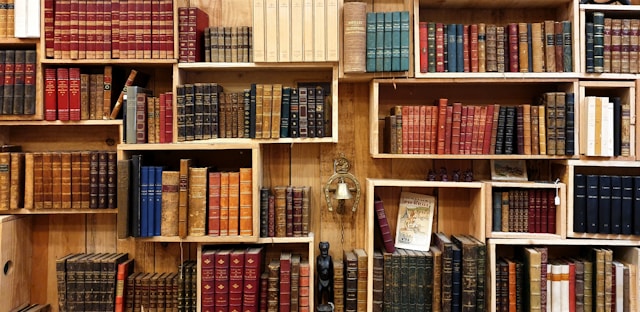 The Role of Independent Bookstores in Encouraging Reading and Literacy Among Kids and Teens